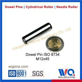 Zatič za moznike ISO 8734